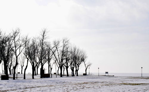 Bare trees on snow covered land against sky