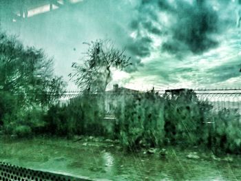 Trees by lake against sky during rainy season