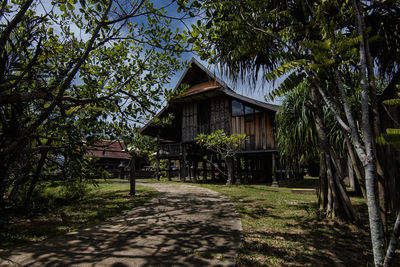 House amidst trees