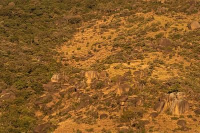 natural environment