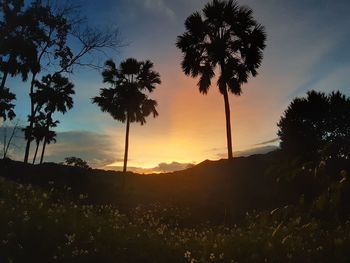 Silhouette palm trees on field against sky at sunset