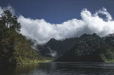 Scenic view of lake by trees against sky