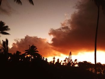 Silhouette trees against sky during sunset