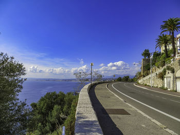 Road by palm trees and city against sky