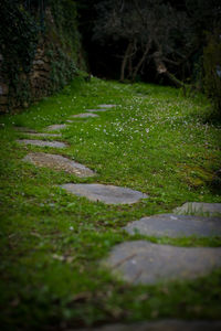 Footpath by stone wall