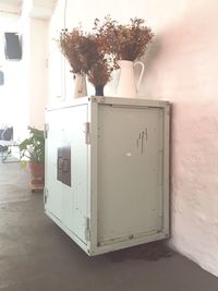 Close-up of potted plant