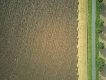 High angle view of agricultural field