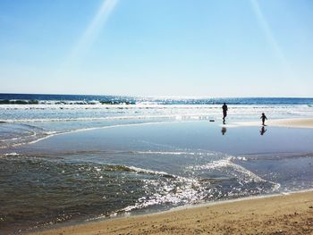 Wellfleet low tide 