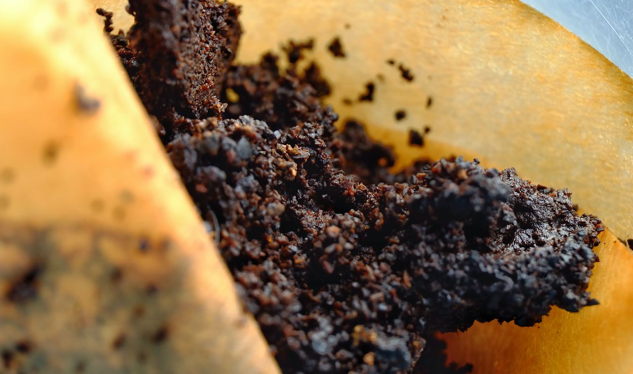 close-up, selective focus, invertebrate, apiculture, no people, food, insect, group of animals, beehive, animal themes, animals in the wild, animal, large group of animals, animal wildlife, bee, beauty in nature, food and drink, day, still life, honeycomb