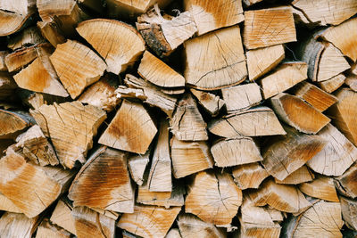 Full frame shot of wooden logs in forest