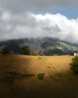 Scenic view of landscape against sky