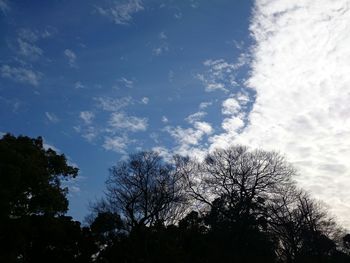 Low angle view of silhouette trees against sky