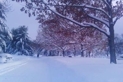 Scenic view of snow covered landscape