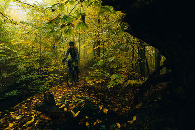 Rear view of woman walking in forest