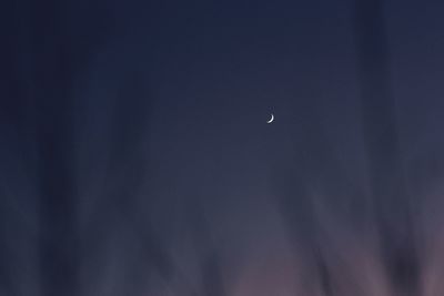 Low angle view of moon in sky at night