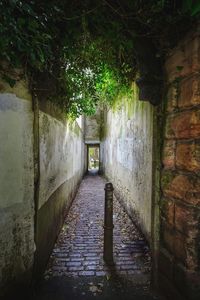 Empty alley amidst buildings