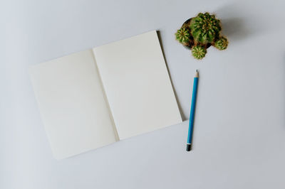 High angle view of books on table against white background