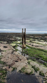 Wooden posts on field against sky