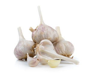 Close-up of garlic against white background