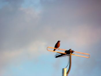 Low angle view of electric lamp against sky