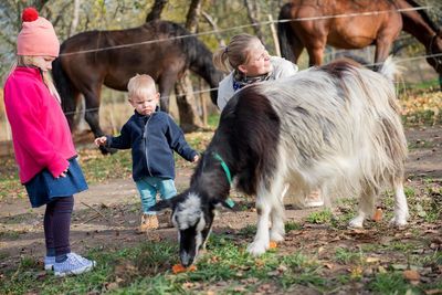 Happy family-mother with children hugging and feeds pets dogs, cats and goats in countryside farm