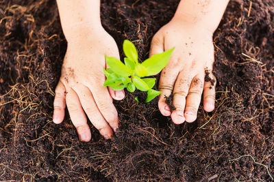 Close-up of girl planting plant in soil