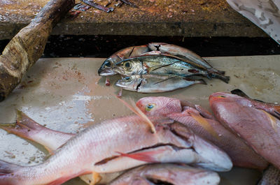 High angle view of fishes on wet table at market