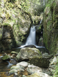 Scenic view of waterfall in forest