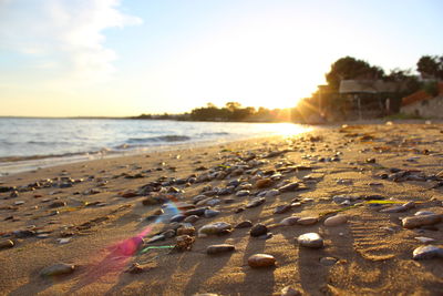 Scenic view of sea at sunset