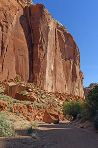 Red rock cliff rising from the canyon floor in spring creek in capitol reef national park in utah