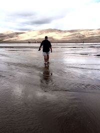Rear view of man walking on wet beach