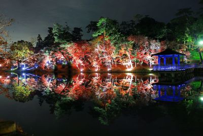 Reflection of trees in lake at night