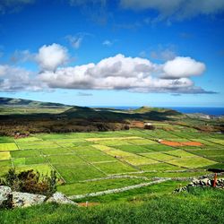 Scenic view of agricultural landscape against sky