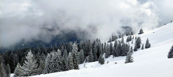 Panoramic view of snow covered mountain against sky