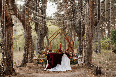 Clothes hanging on tree trunk in forest