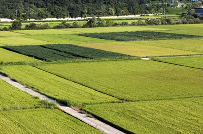 High angle view of agricultural field on sunny day