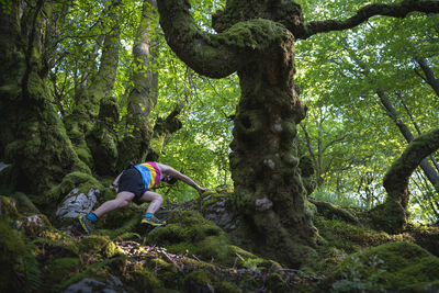 Athlete hiking on mountain at forest