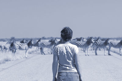 Rear view of woman standing against zebras on landscape
