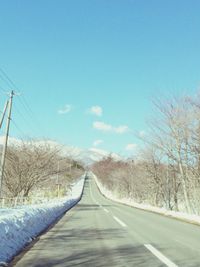 Empty road along trees