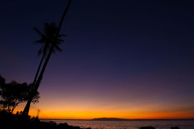 Silhouette palm trees by sea against sky during sunset