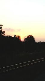 Silhouette of trees at sunset