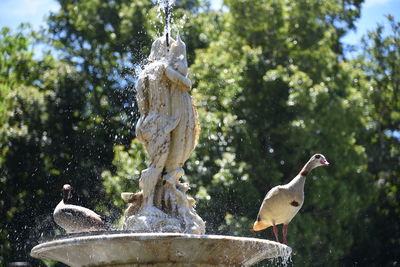 View of statue against fountain