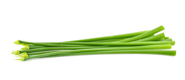 Close-up of green leaf against white background