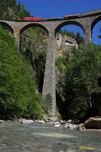 Arch bridge over river in forest