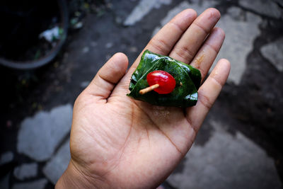 Cropped image of person holding paan 