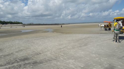 Rear view of people on beach against sky