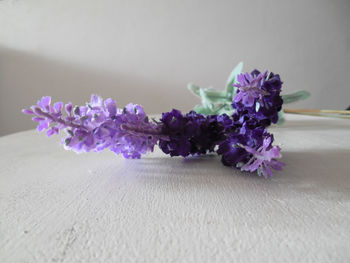 Close-up of purple flowering plant on table