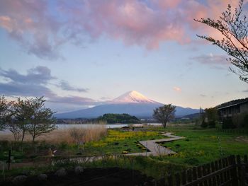 Scenic view of landscape against sky