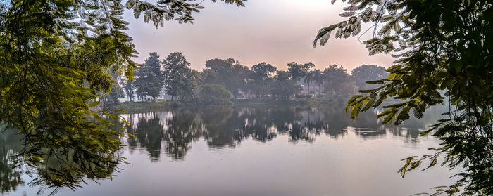 Reflection of trees in lake