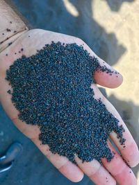 Close-up of hand holding sand